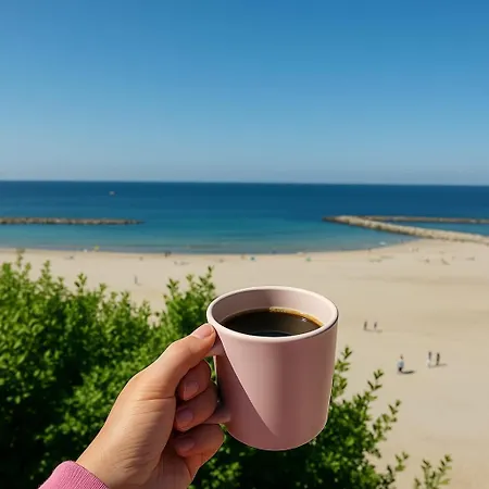 Mistral ياروسوافيتس